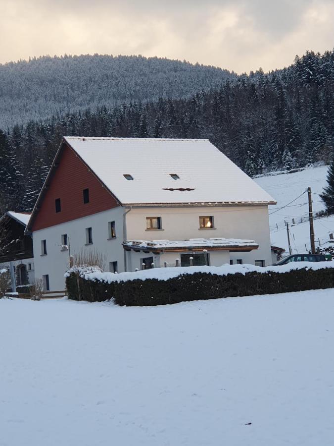 Appart Renard 4 Etoiles Cornimont Exterior photo